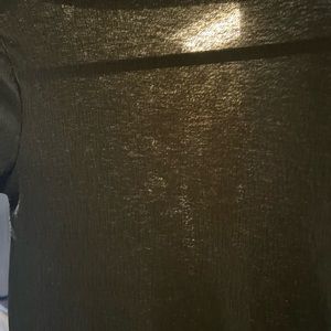 Zara longsleeve sheer top